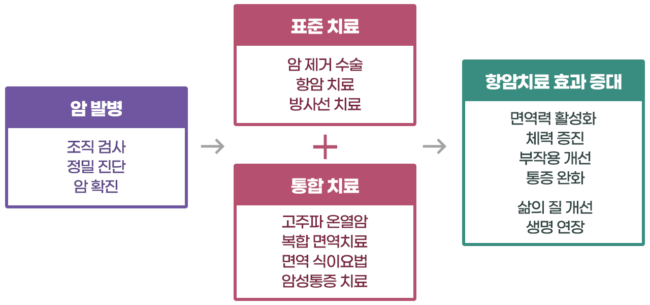 통합의학적 암 치료 프로세스